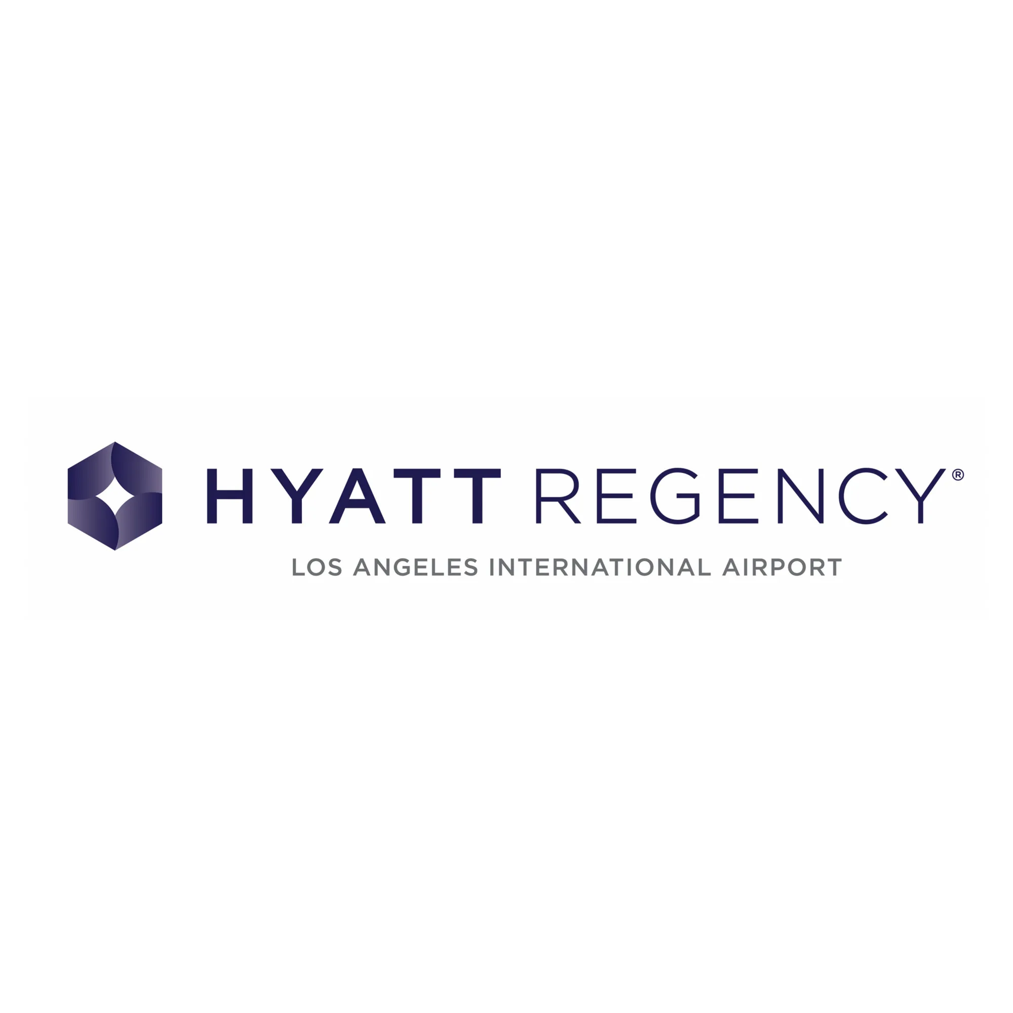 Website Design Hamilton